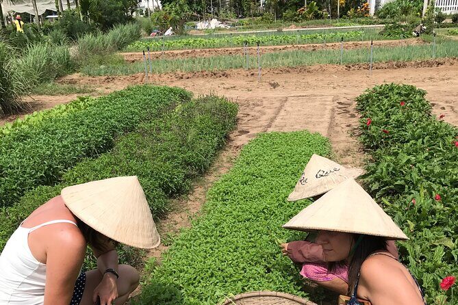 Tra Que Village Cycling And Farming - Guides Matter: Kim, Emma, Tin Tin, Jackie (And the Style You Can Expect)