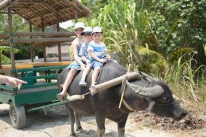 Traditional Cooking Class with Basket Boat Ride and market Tour - Price and Logistics: What You’re Actually Paying For